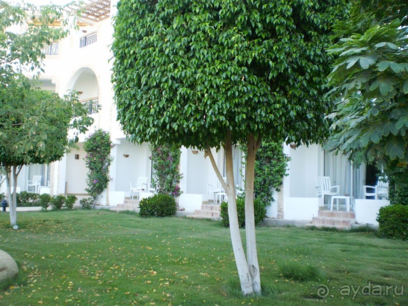 фото Melton Tiran Resort 