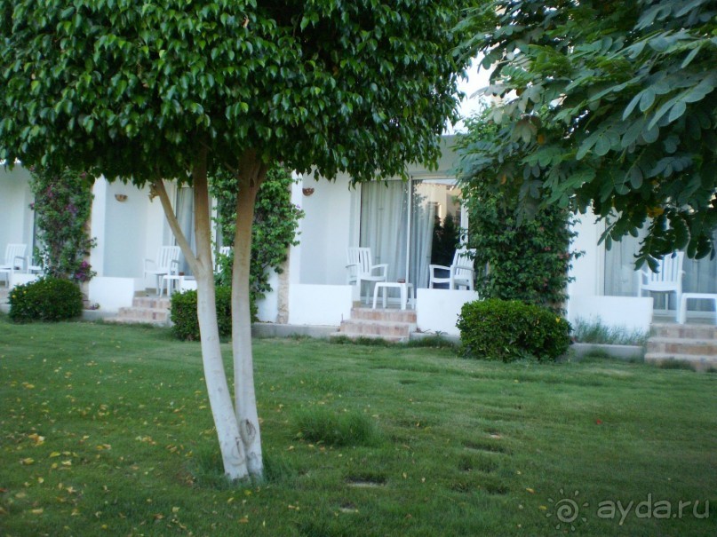 фото Melton Tiran Resort 