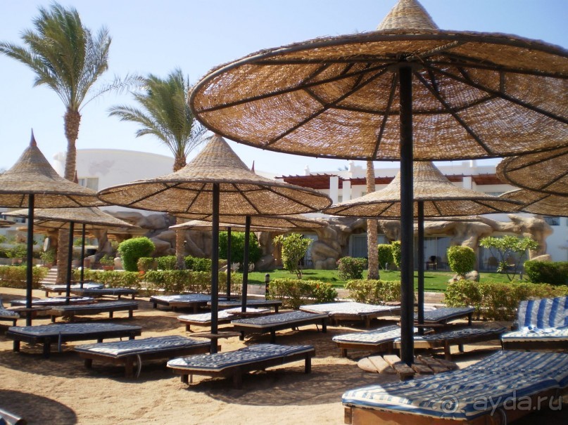 фото Melton Tiran Resort 