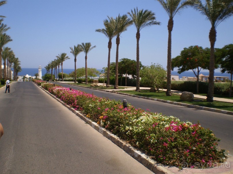 фото Melton Tiran Resort 