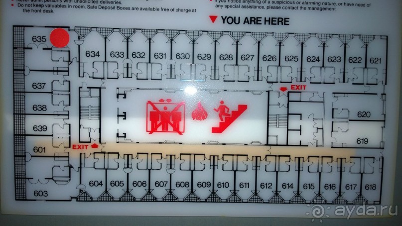 Тёплое море, тёплый приём...