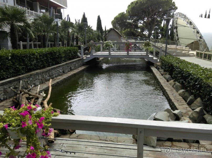 Смешанные чувства...