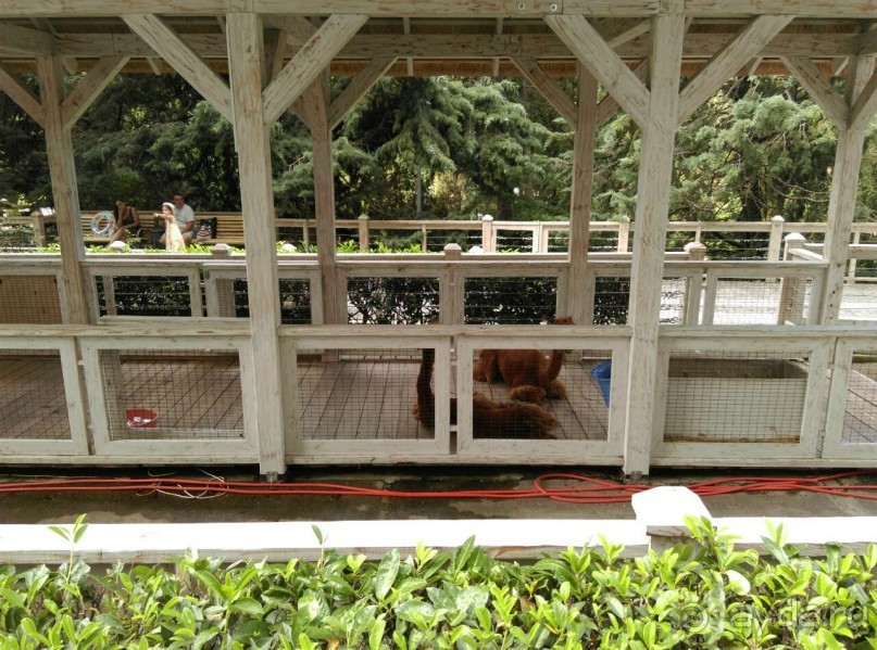 Смешанные чувства...