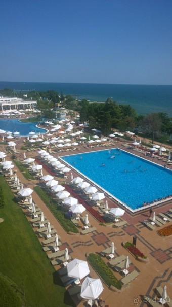 В кадре примерно треть площади бассейнов