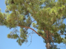 Лучше не бывает!!! 