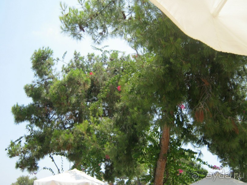 Лучше не бывает!!! 