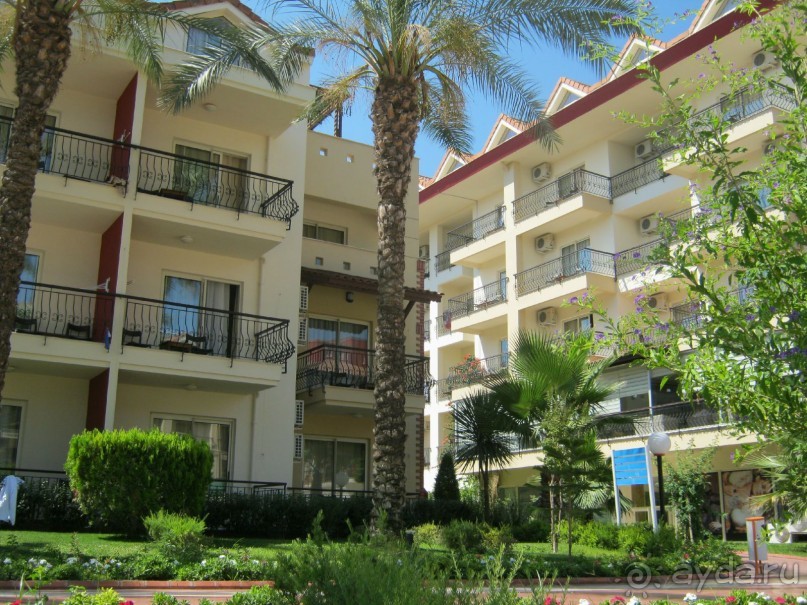 Лучше не бывает!!! 