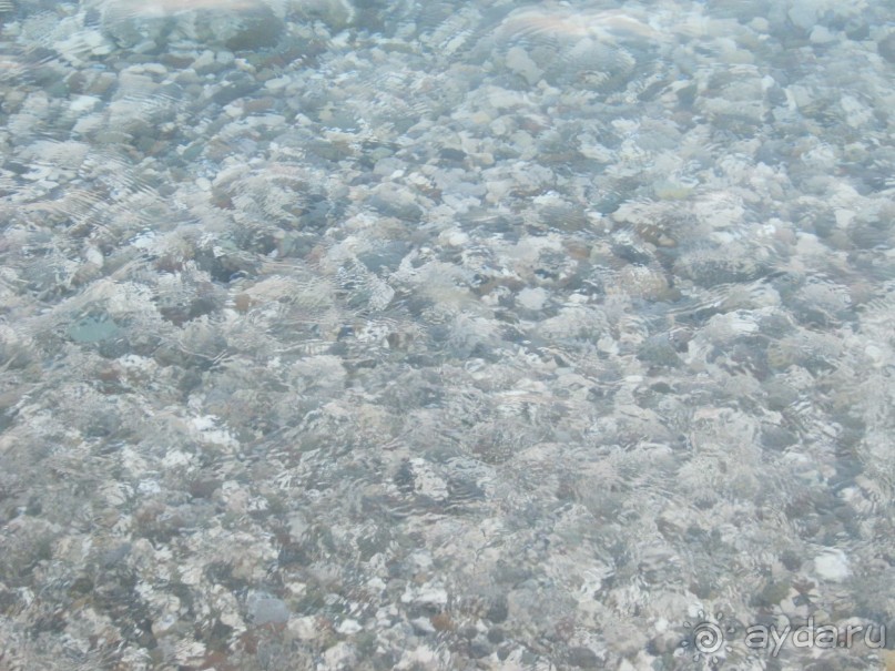 Лучше не бывает!!! 