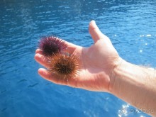 фото FUN&SUN Club Di Finica