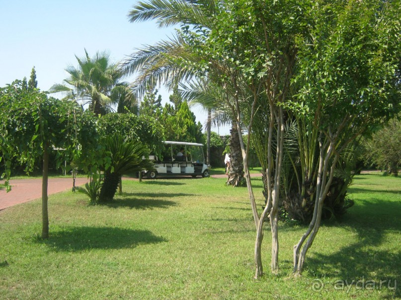 Отель до 5* не дотягивает! 