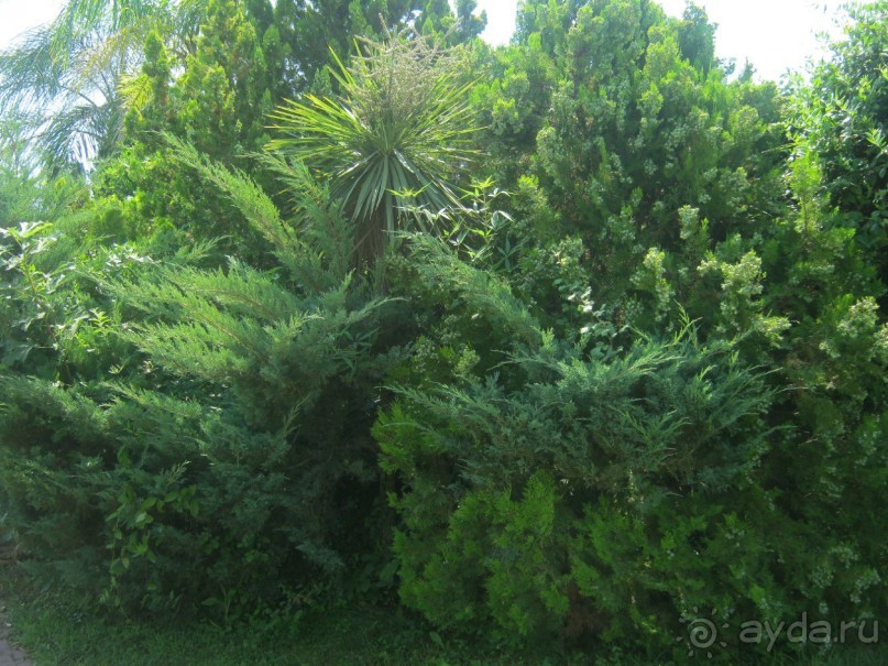 Отель до 5* не дотягивает! 