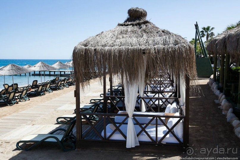 фото Balmy Foresta 