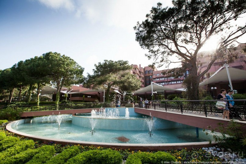 фото Balmy Foresta 