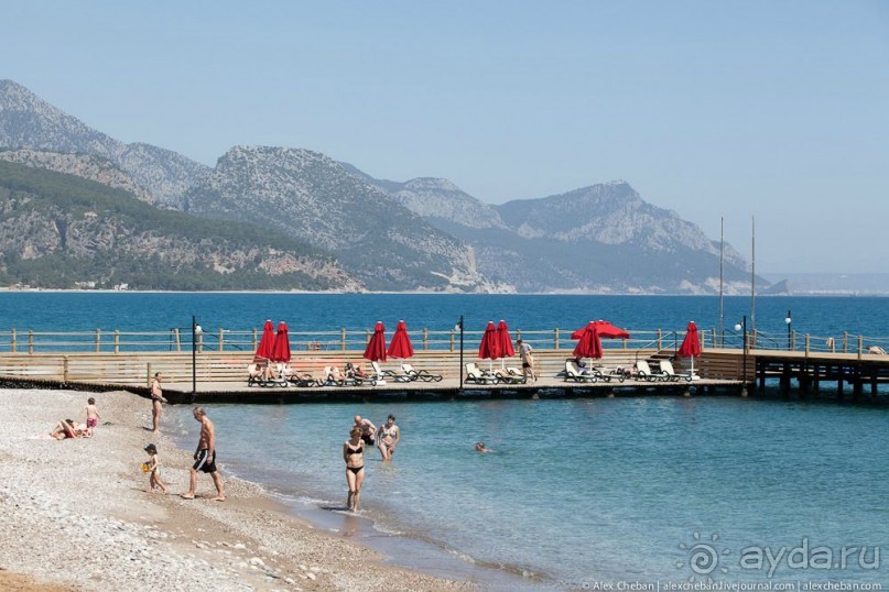 фото Balmy Foresta 