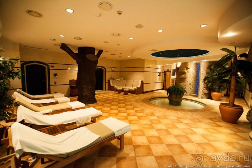 фото Balmy Foresta 