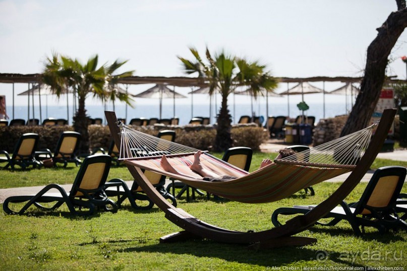 фото Balmy Foresta 