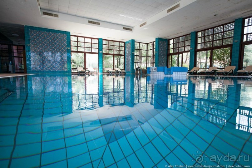 фото Balmy Foresta 