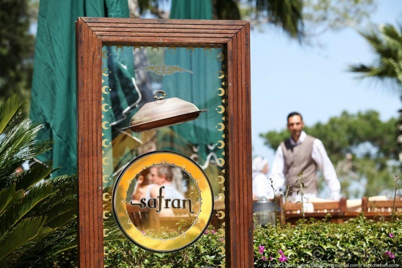 фото Balmy Foresta 