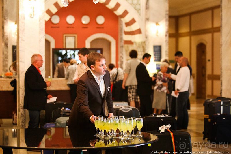 фото Balmy Foresta 