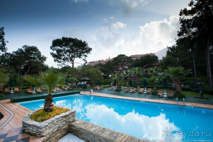 фото Balmy Foresta 