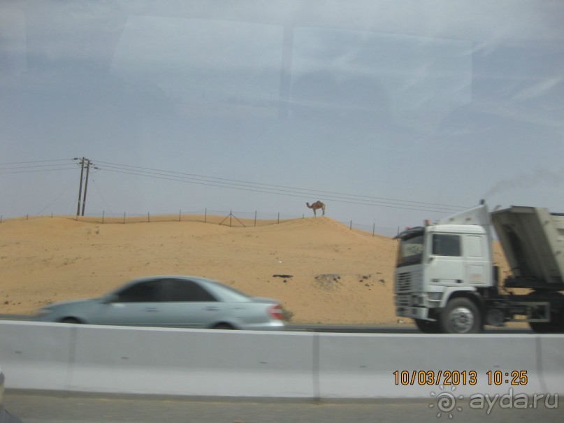 Спокойно, по-домашнему.