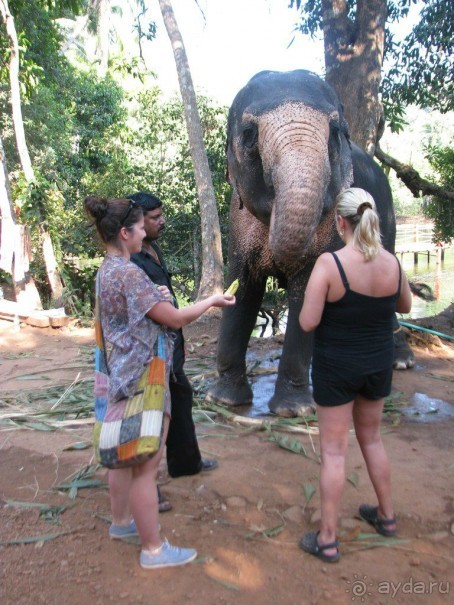 Отдых на Гоа