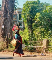 фото Colva Kinara