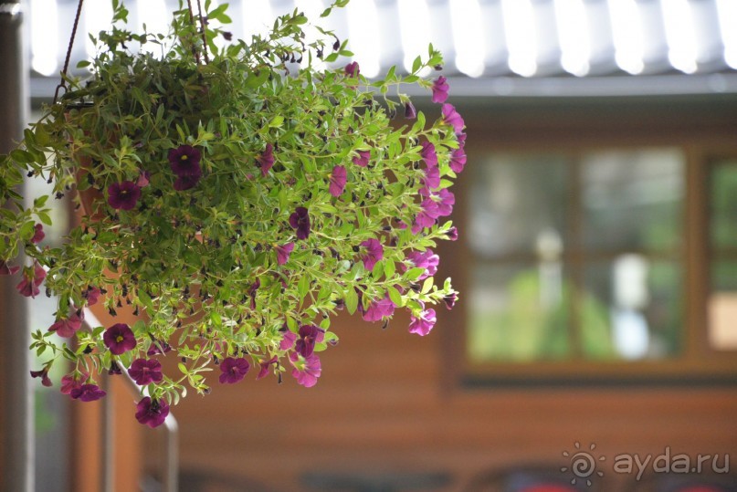 фото Trakaitis mini-hotel