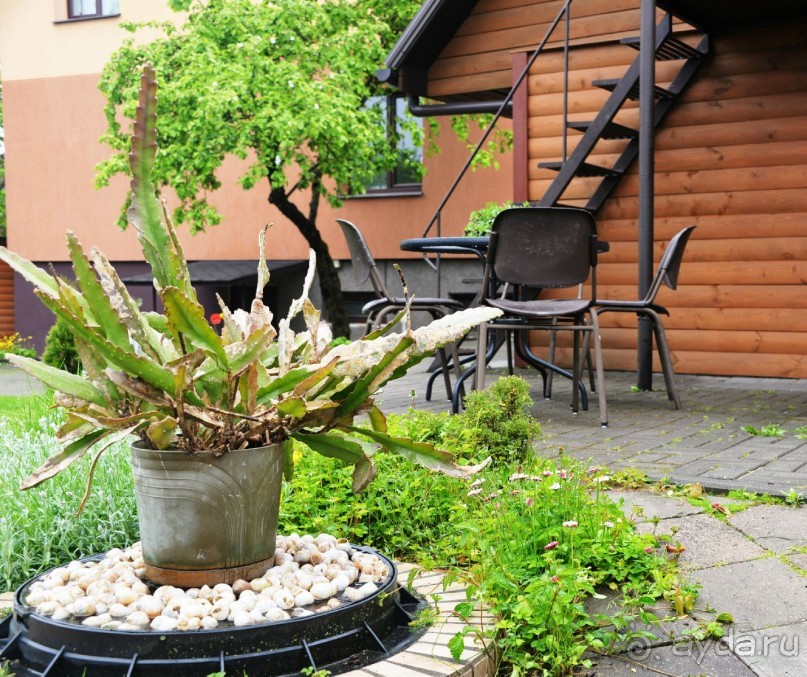 фото Trakaitis mini-hotel