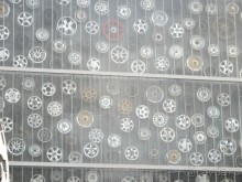 Охота на гусей или Швейцария за 52 часа