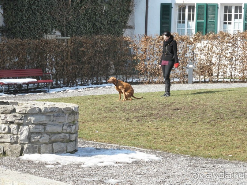 Охота на гусей или Швейцария за 52 часа