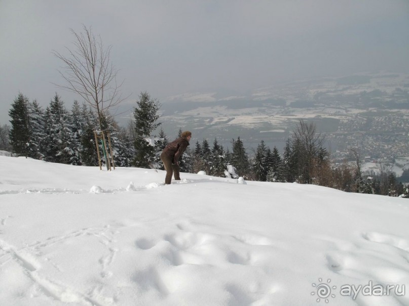 Охота на гусей или Швейцария за 52 часа