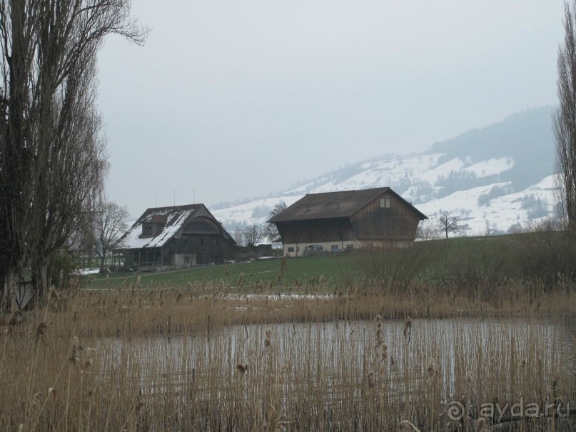 Охота на гусей или Швейцария за 52 часа