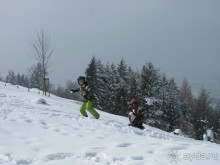 Охота на гусей или Швейцария за 52 часа