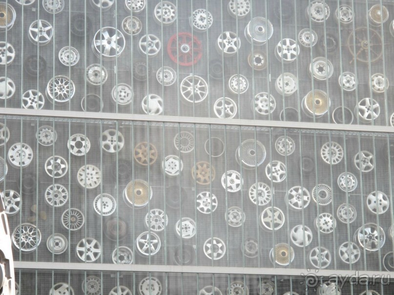 Охота на гусей или Швейцария за 52 часа