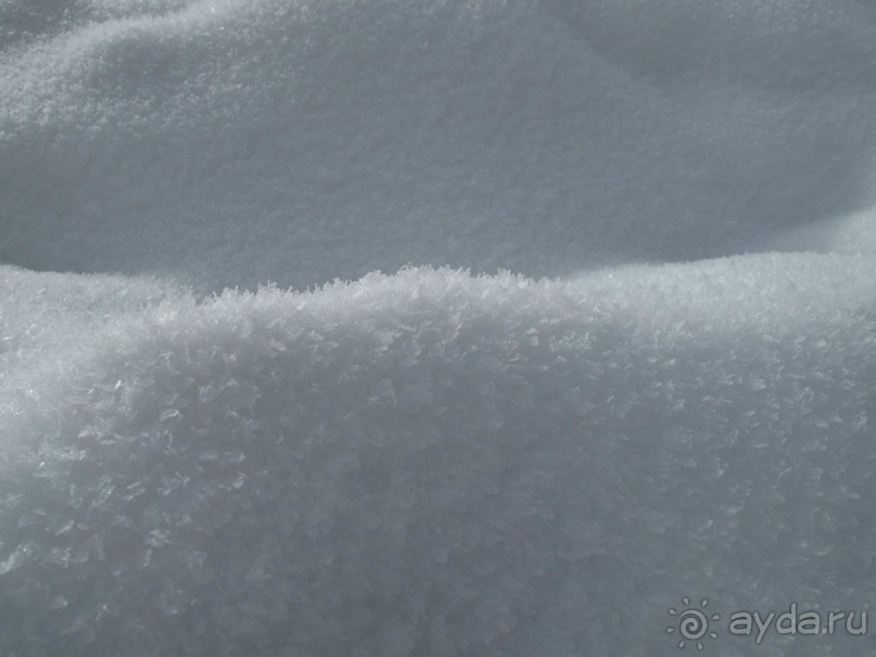 Охота на гусей или Швейцария за 52 часа