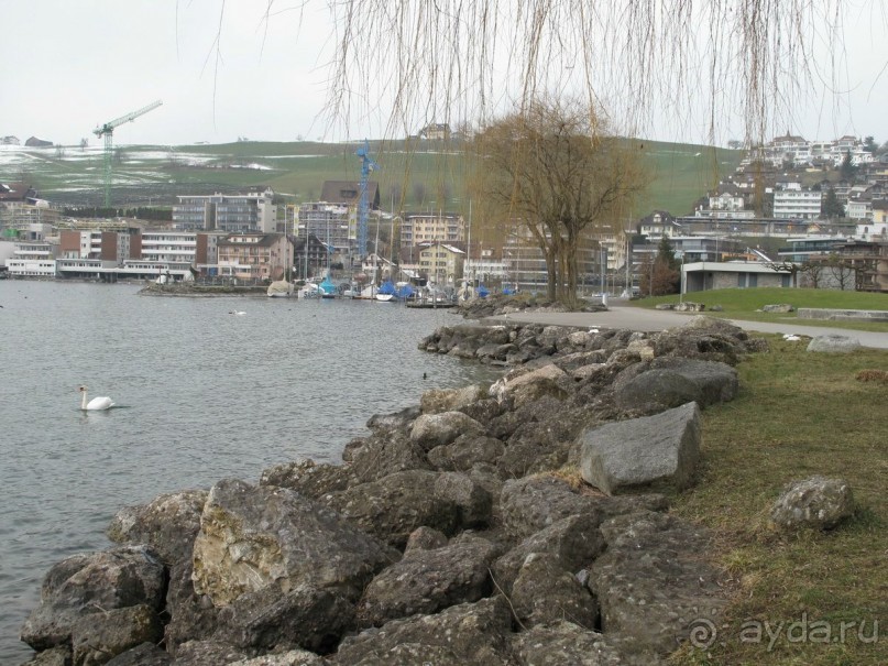 Охота на гусей или Швейцария за 52 часа