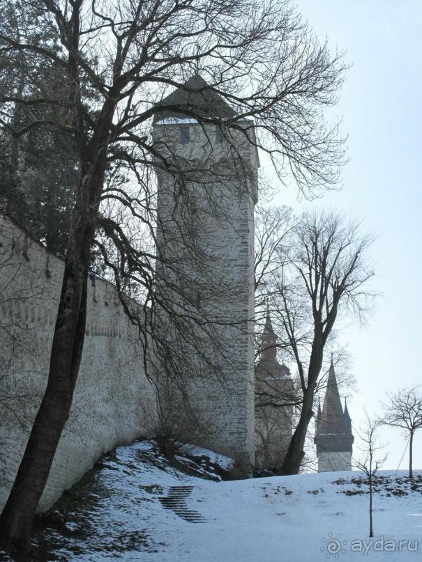 Охота на гусей или Швейцария за 52 часа