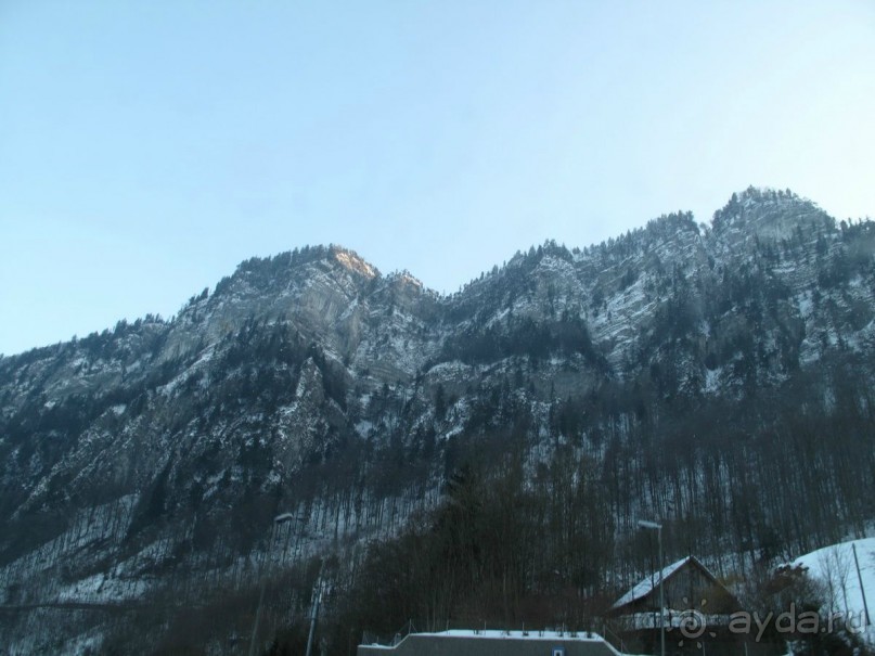 Охота на гусей или Швейцария за 52 часа