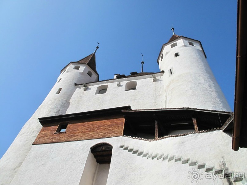 Охота на гусей или Швейцария за 52 часа