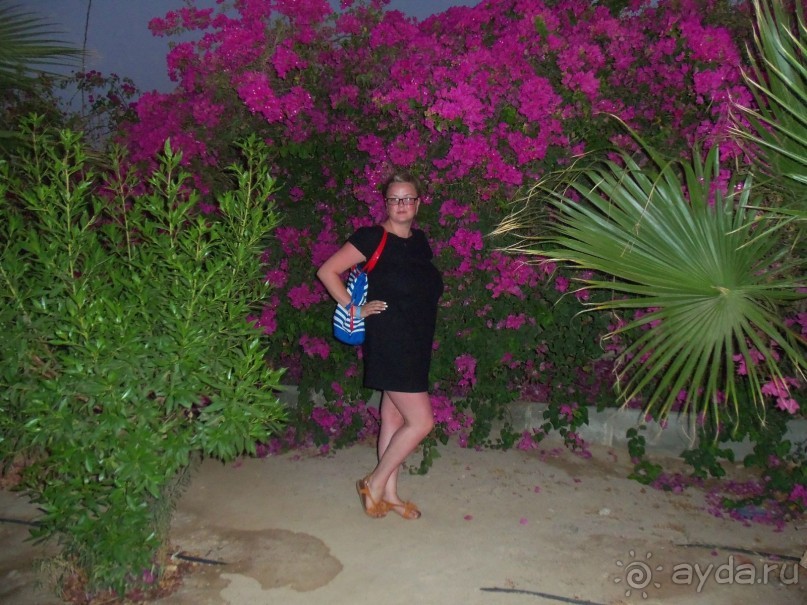 Понравилось всё!!!Кроме тараканов)))