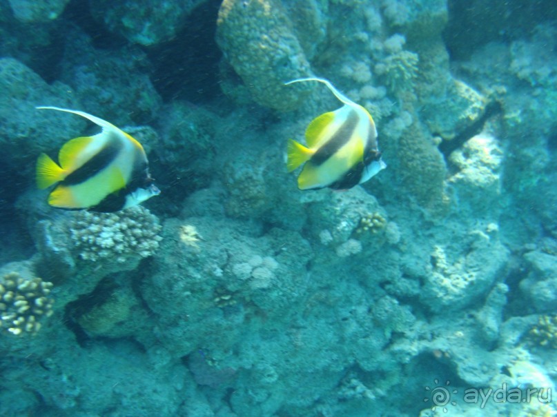 Три раза были в этом отеле