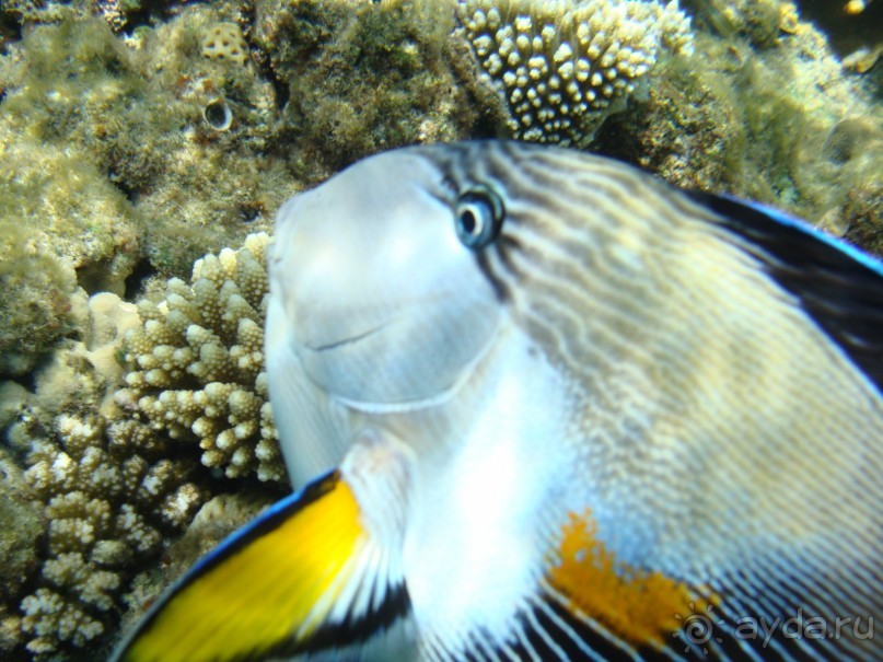 Три раза были в этом отеле