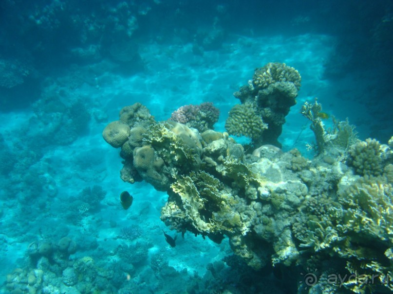 Три раза были в этом отеле