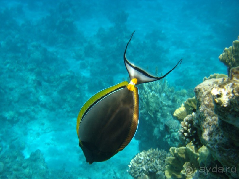 Три раза были в этом отеле