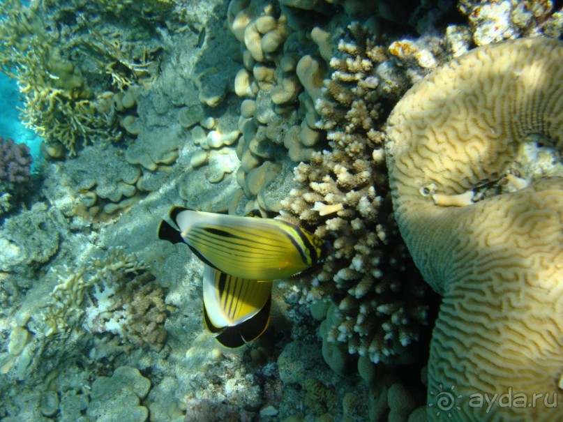 Три раза были в этом отеле