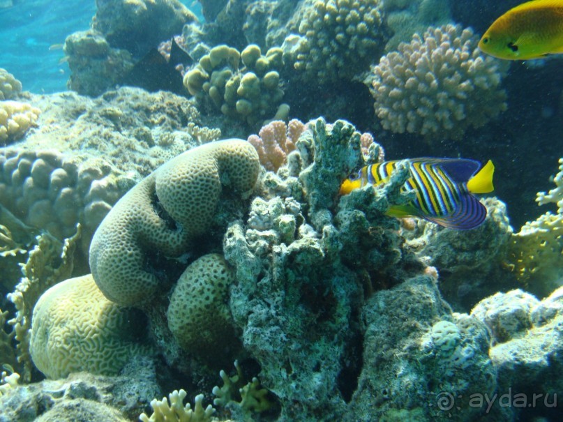 Три раза были в этом отеле