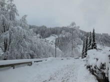 Доломиты суперски Санта-Кристина - где осталась часть моего сердца)) 