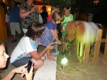 Лучшее между Салоу и Камбрильсом (Вилафортуни) Бюджетный вариант. Про два лета (2014 и 2015)