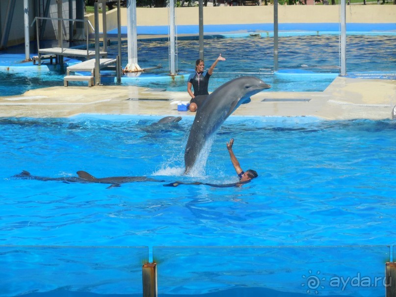 Лучшее между Салоу и Камбрильсом (Вилафортуни) Бюджетный вариант. Про два лета (2014 и 2015)